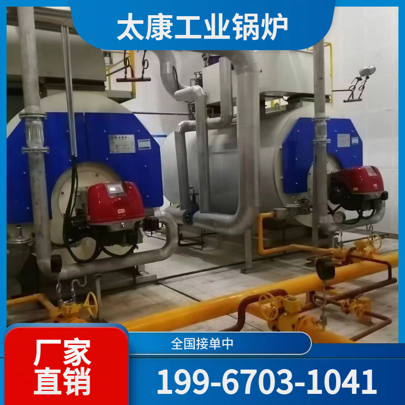 安庆燃煤蒸汽锅炉